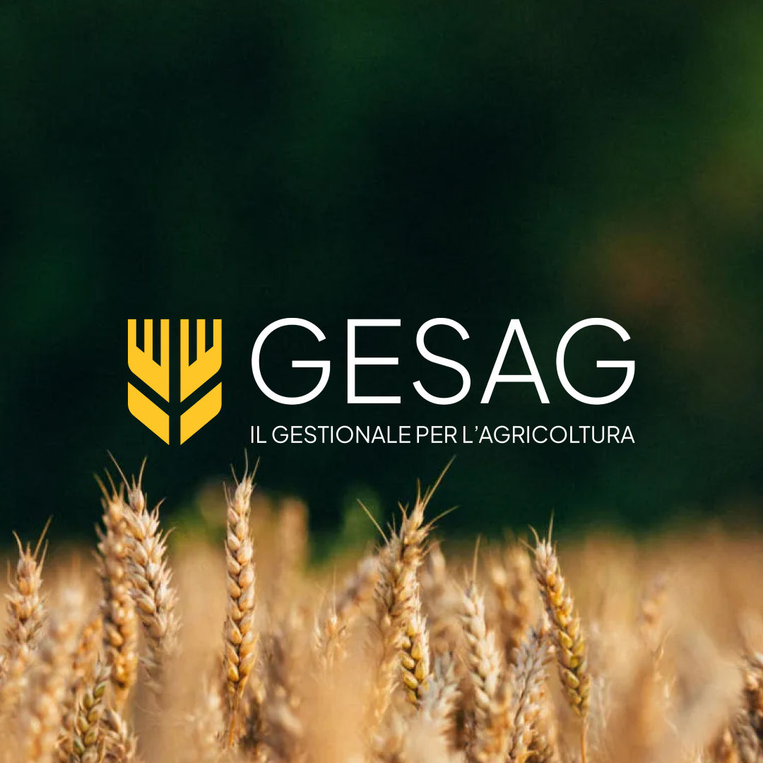 Gesag copertina progetto