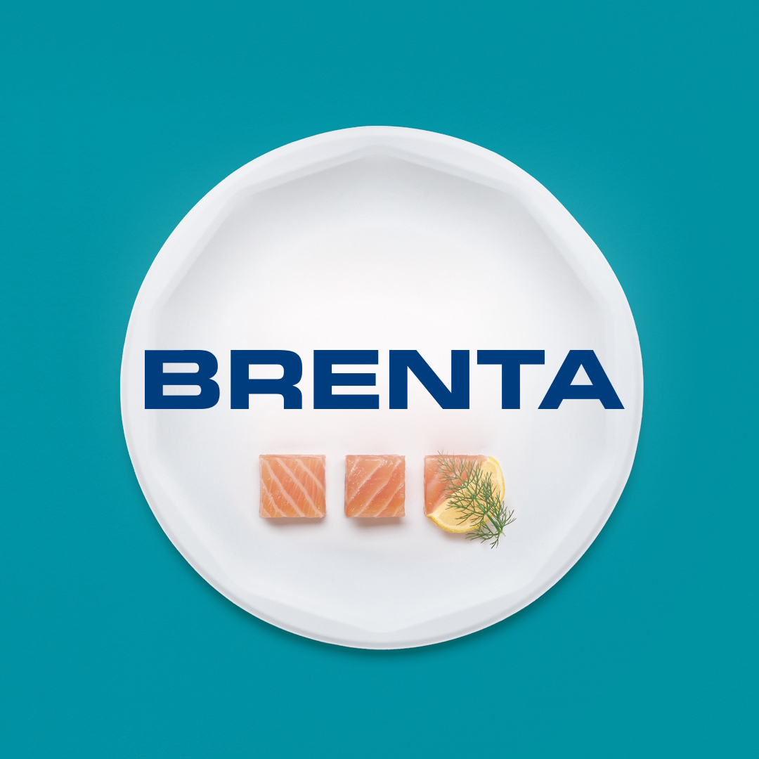 Brenta Srl - copertina